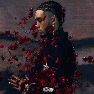 国产精品不卡AⅤ在线播放
