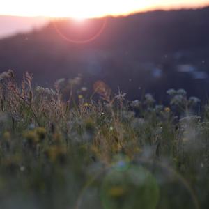 国产精品不卡AⅤ在线播放
