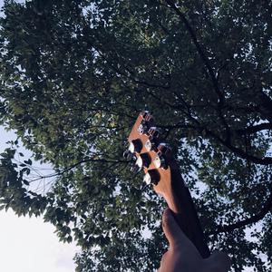 国产精品不卡AⅤ在线播放
